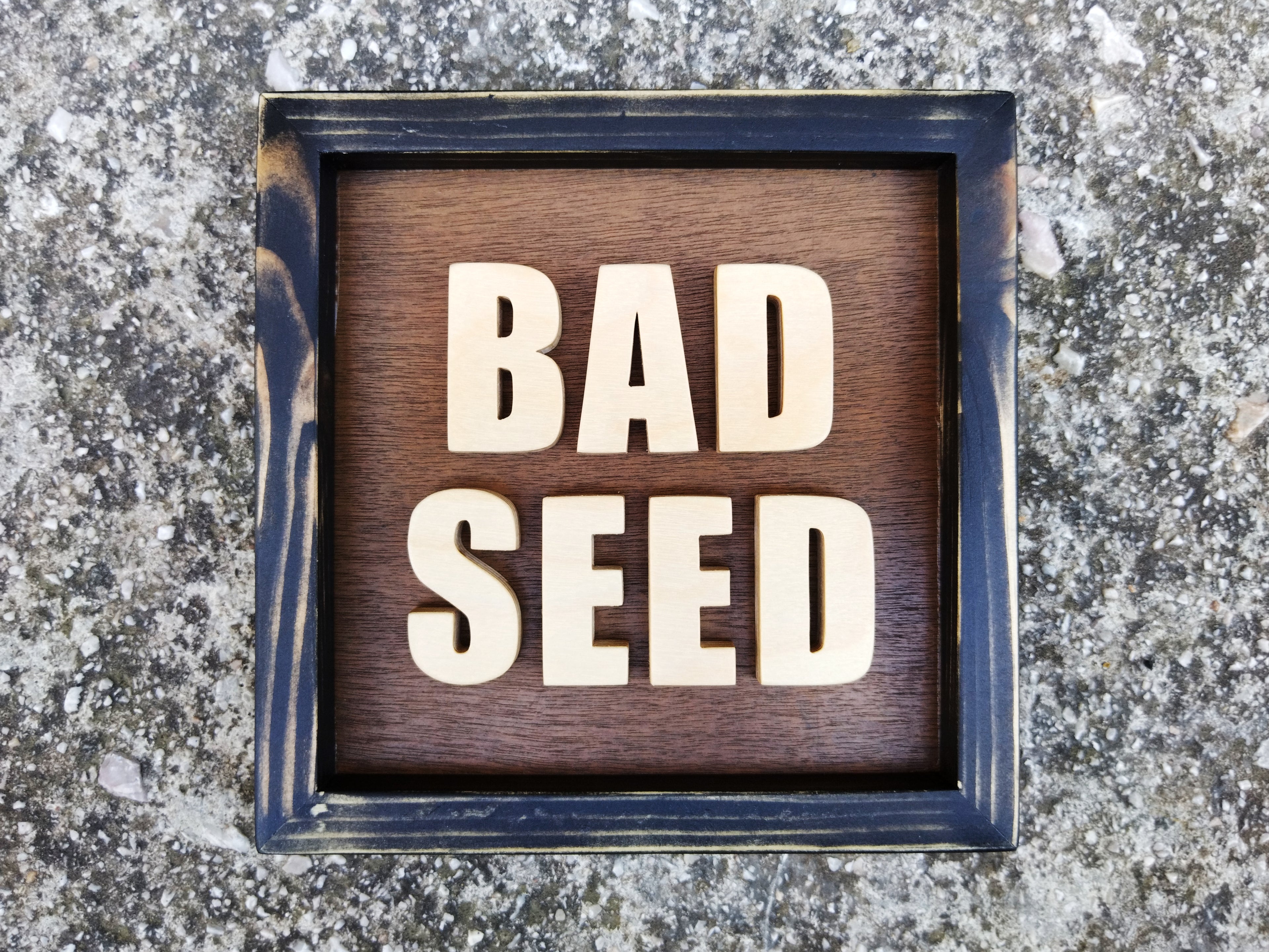 Bad Seed mini (Available now)