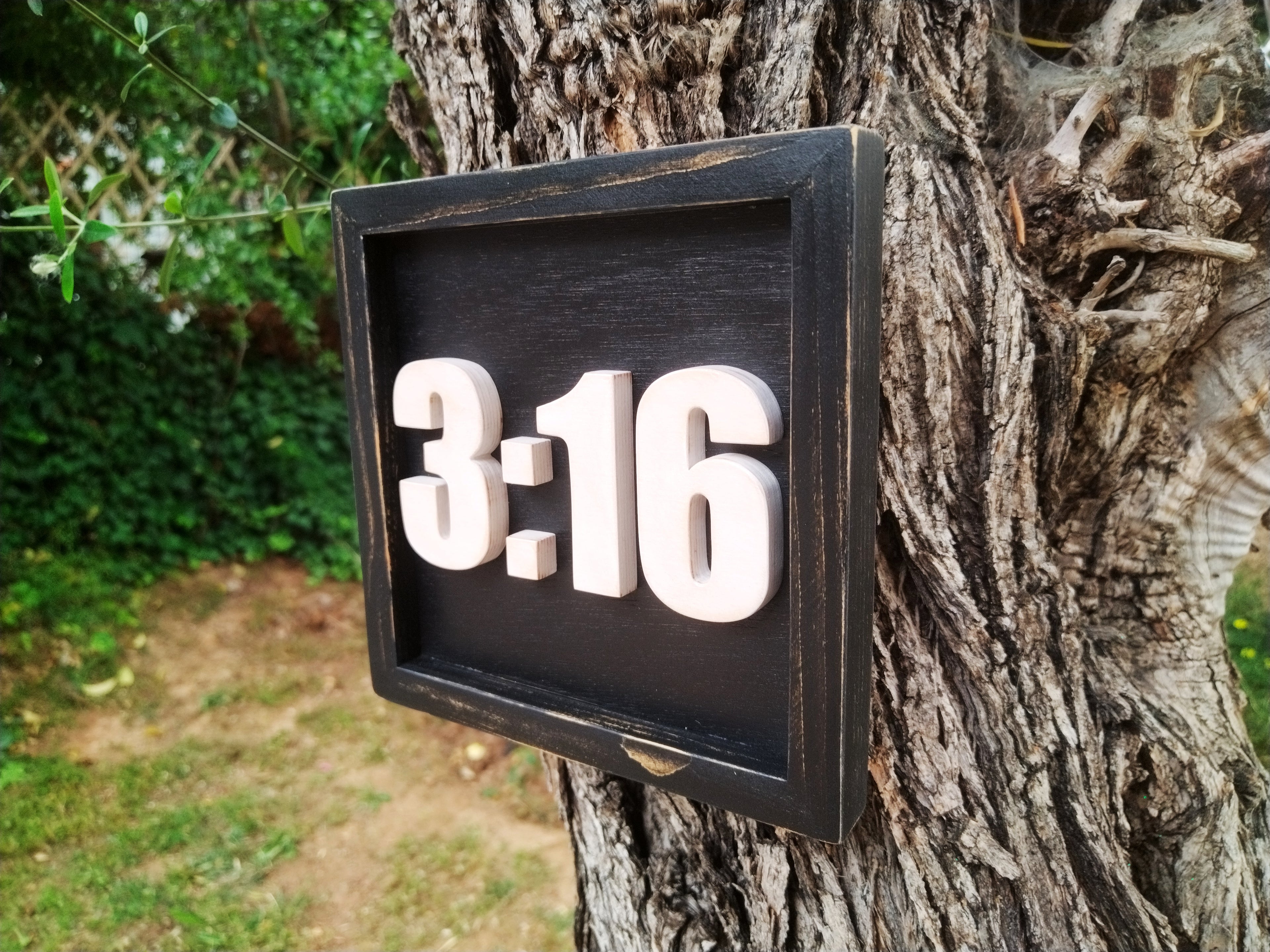 Austin 3:16 (Available now)