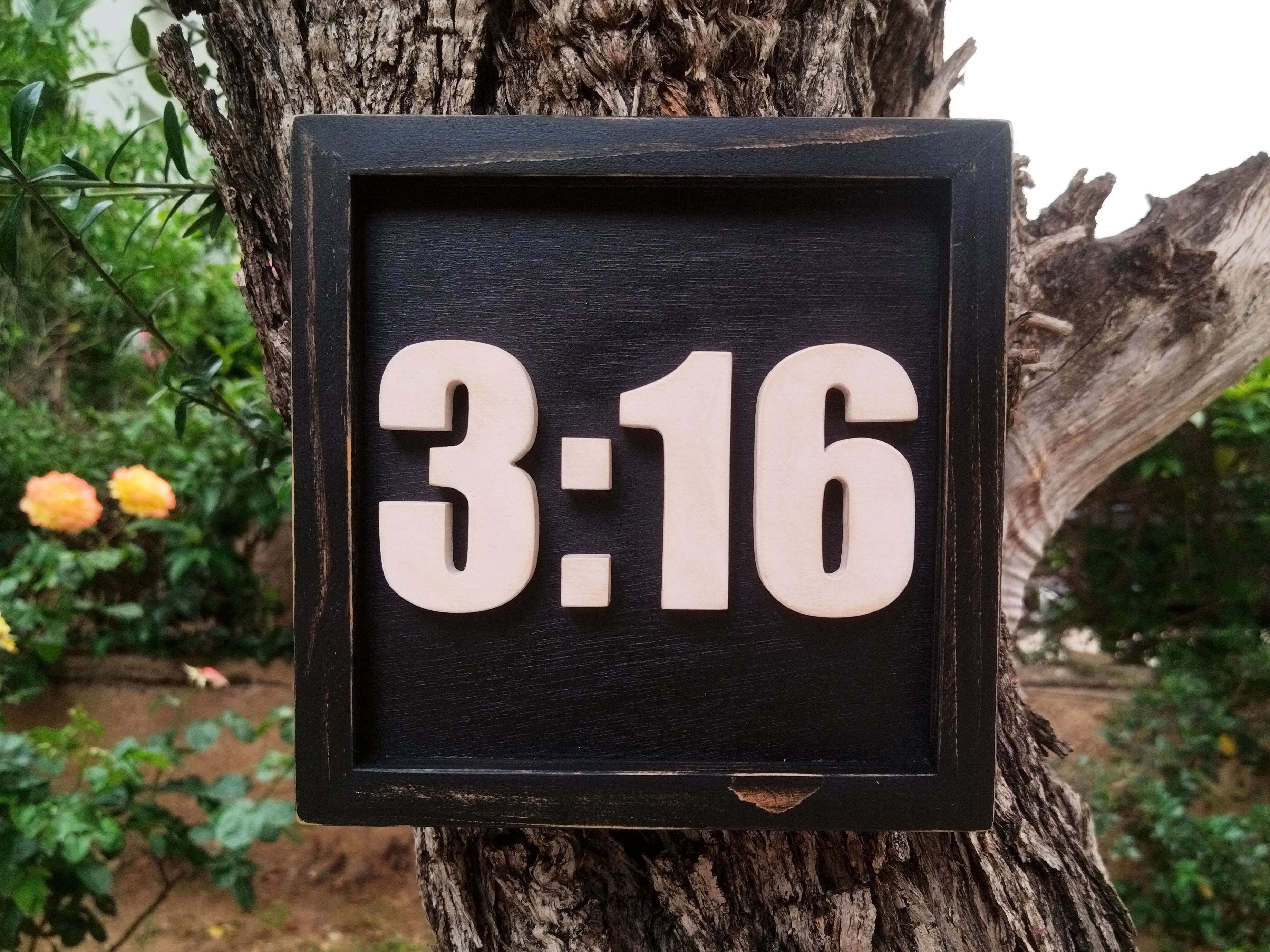 Austin 3:16 (Available now)